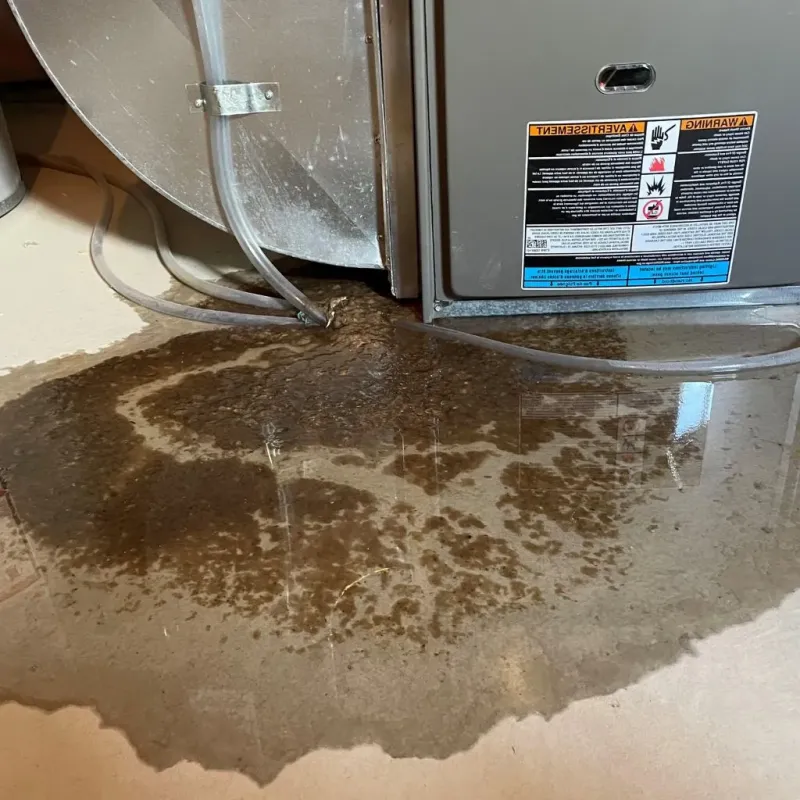 Pipe Burst and Leak Restoration in Chalco, NE