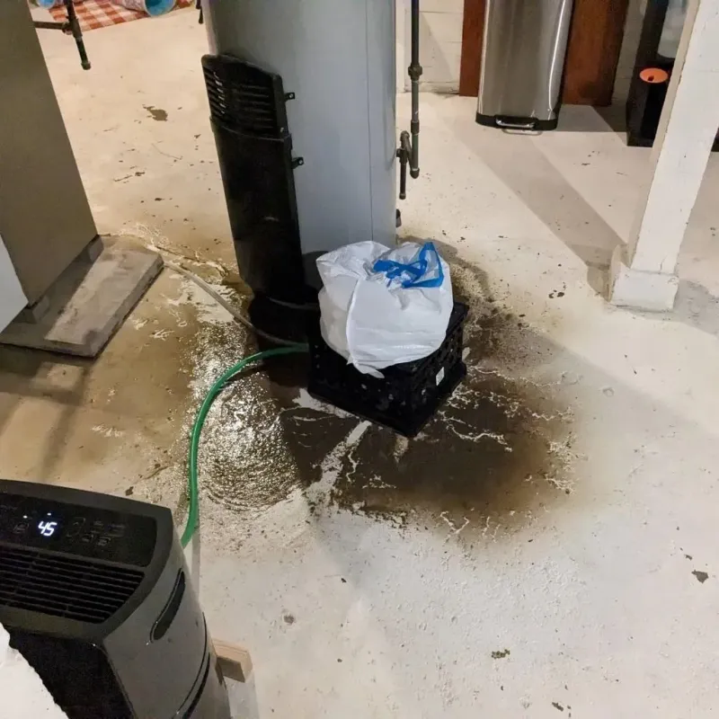 Sewage Backup Cleanup Service in Chalco, NE